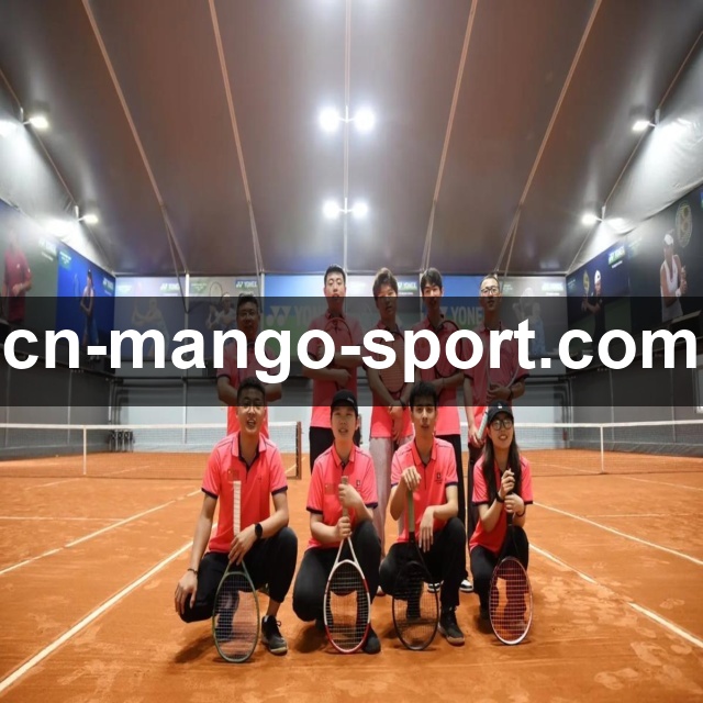 芒果体育网页版：快速访问指南与功能亮点解析，畅享便捷使用体验