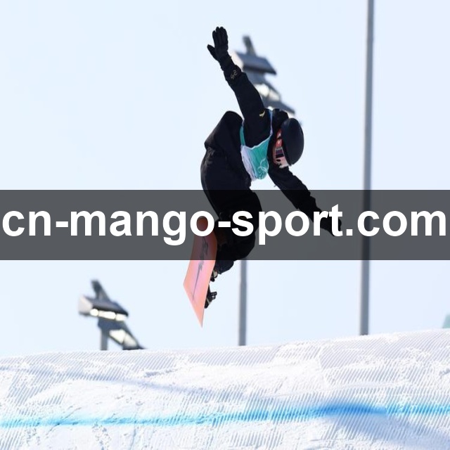 芒果体育电脑版使用指南：操作体验解析及核心功能全面介绍